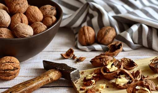 養(yǎng)老服務(wù)：從需求到實(shí)踐，構(gòu)建多元適配的晚年生活支持體系